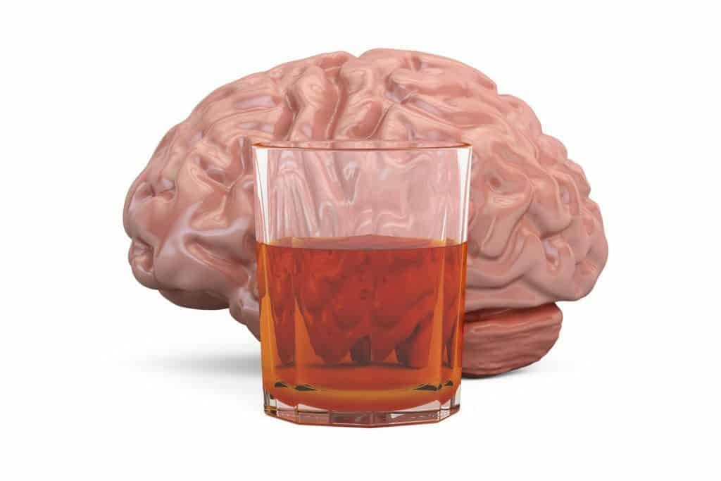 Alcohol's effect on the brain